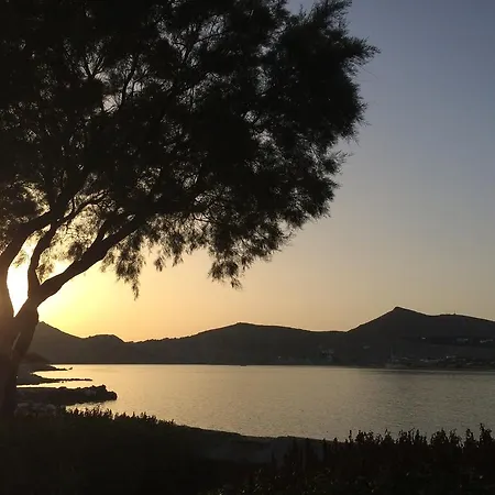 Hotel Almira - Seafront - Paros